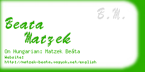 beata matzek business card