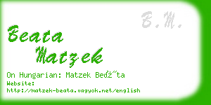 beata matzek business card